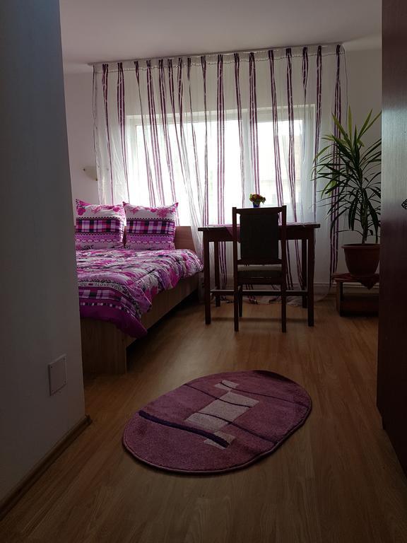 Casa Rustica Apart & Rooms Cimpineanca Экстерьер фото